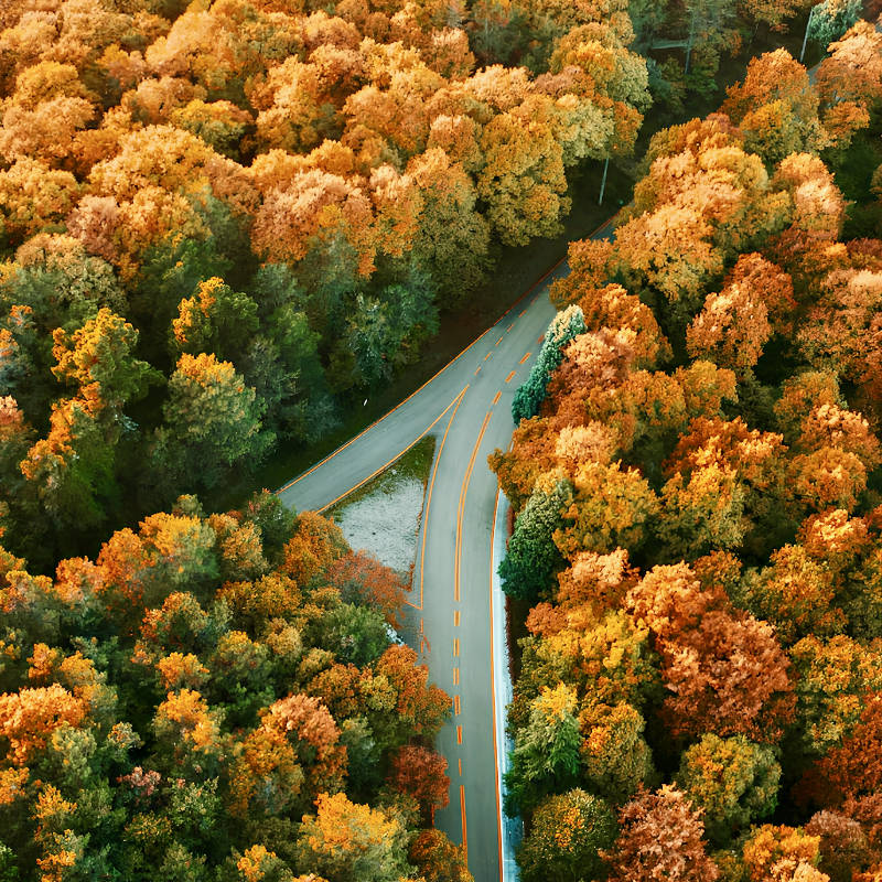 Relatietherapie, groepspraktijk 18-3